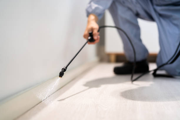 Licensed Pest Control service in Woonsocket, RI - Show Me Pest Control