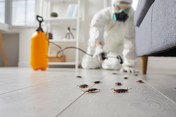 Post-Treatment Bed Bug Interceptor Monitoring in Woonsocket